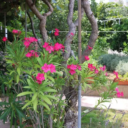 Konukevi Katarina Losinj Island