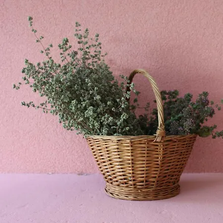 Konukevi Katarina Losinj Island Mali Lošinj