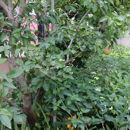 Konukevi Katarina Losinj Island 3*