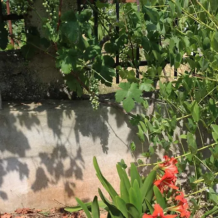 Katarina Losinj Island 3*